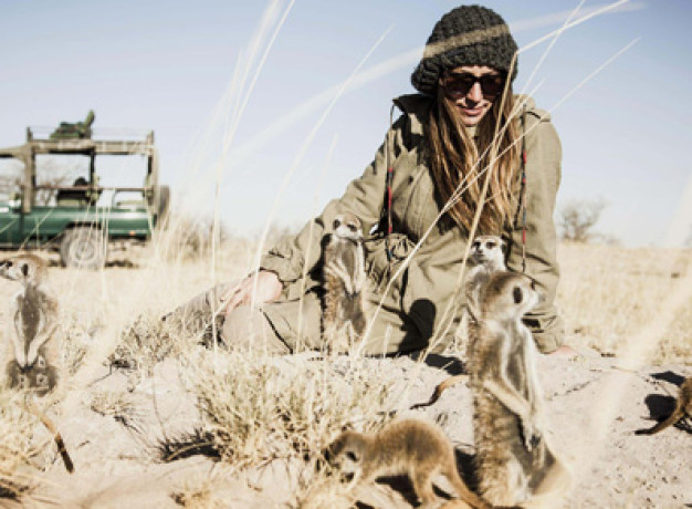 Meerkat Experience - Camp Kalahari