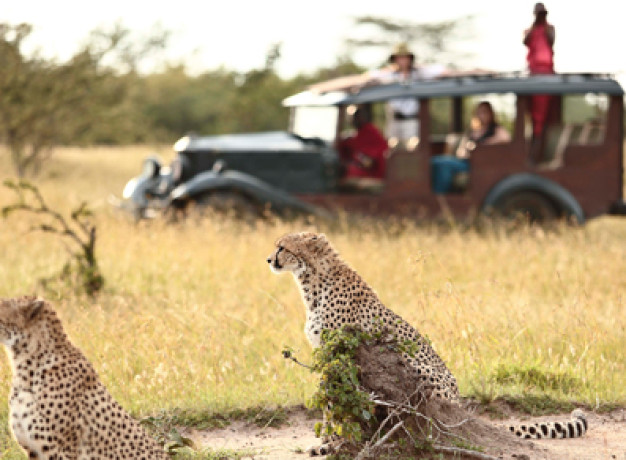 Authentic Sustainable Safari Experience