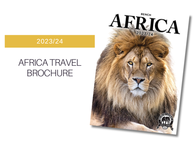african safari packages from australia
