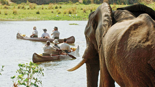 zambia safari tours
