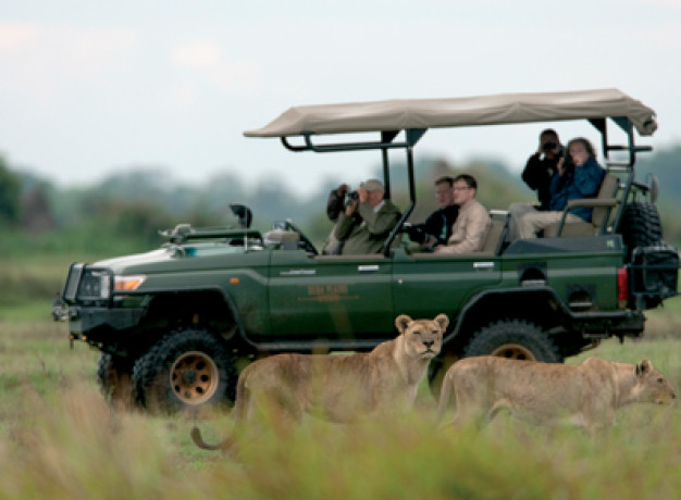 Game Drive Ultimate Africa Safari