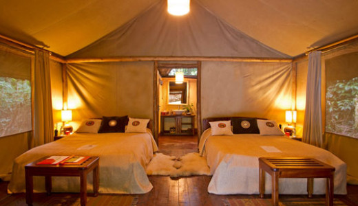 Bedroom at Sanctuary Gorilla Forest Camp