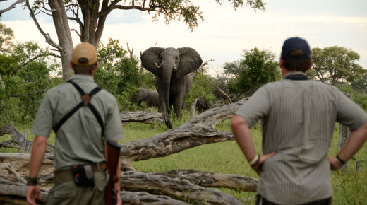Safari School: Concerns when Travelling in Africa