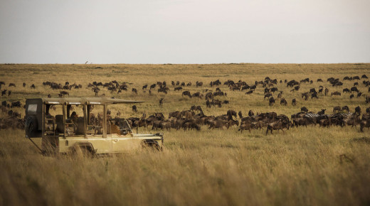 Safari School: Seasons of Travel in Africa