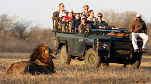 Safari School: Learn about Travelling in South Africa