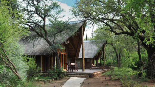 Black Rhino Game Lodge, South Africa