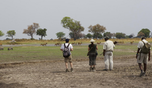 Footsteps Across the Delta - Botswana