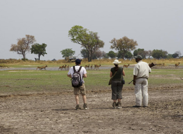 Footsteps Across the Delta - Botswana