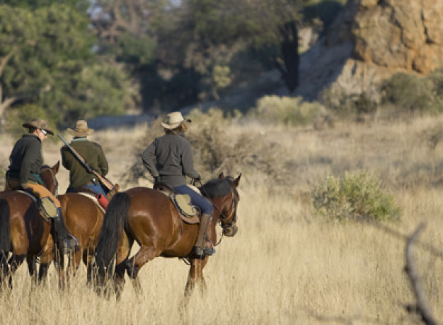 Horse Riding Safari South Africa