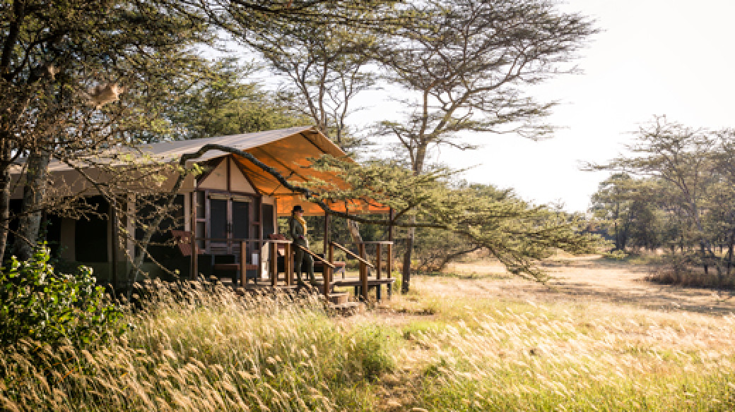 Luxury Camping Serengeti