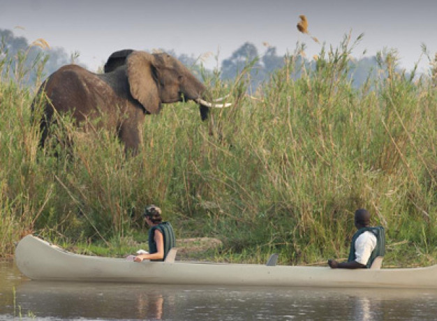 Safari Zambia