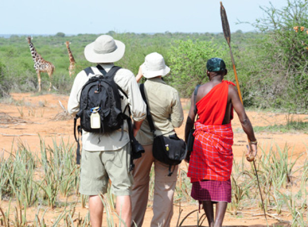 Kenya Wildlife Walking Safari