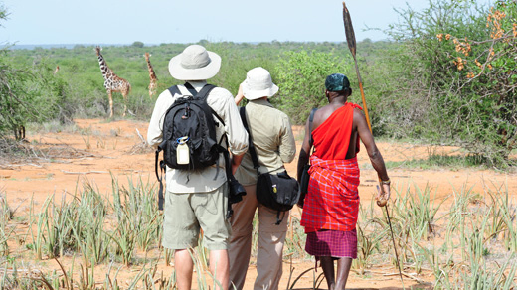 Kenya Wildlife Walking Safari