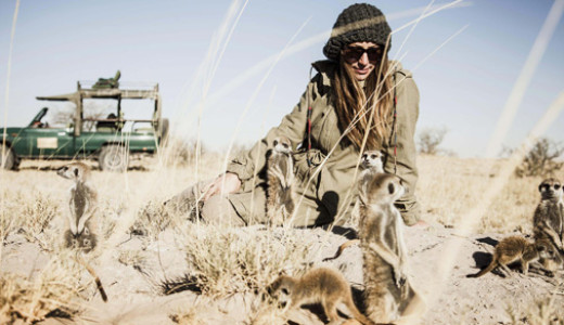 Meerkat Experience - Camp Kalahari