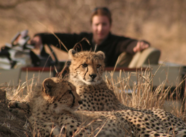 Wildlife Safari South Africa