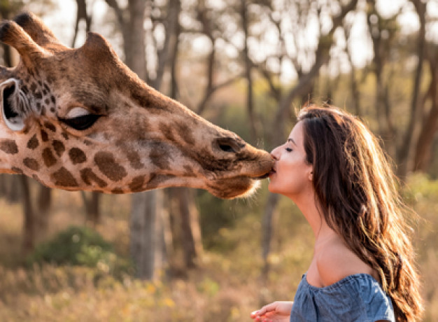 Giraffe Manor Luxury Safari