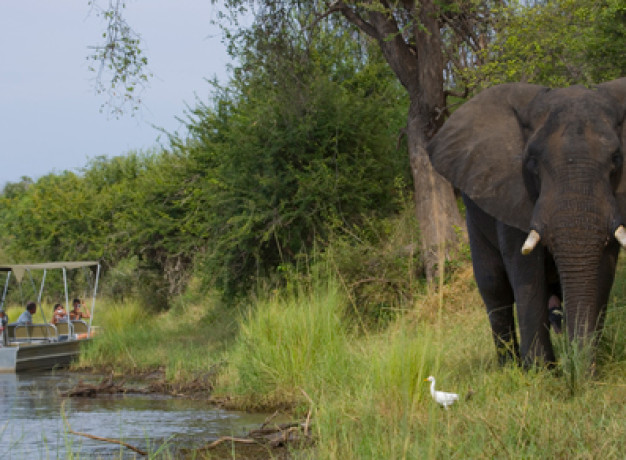 Adventure Safari Zambia