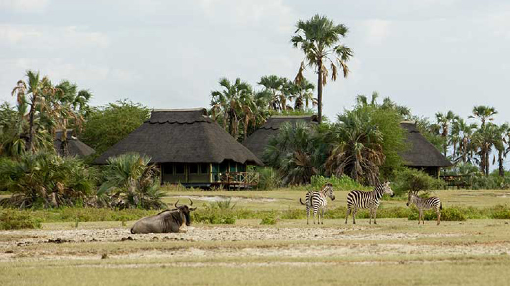 Classic Tanzania Safari Experience
