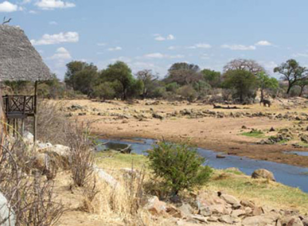 Ruaha Tanzania Safari