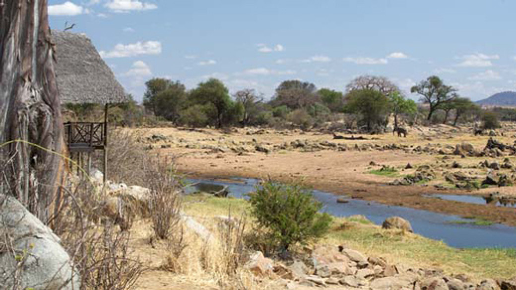 Ruaha Tanzania Safari