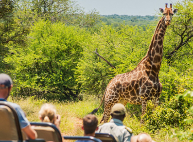 Chisomo Safari Camp Kruger