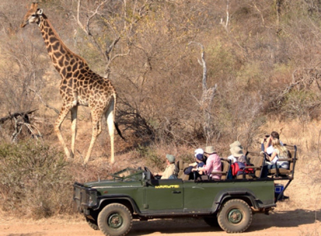 Kruger Safari South Africa