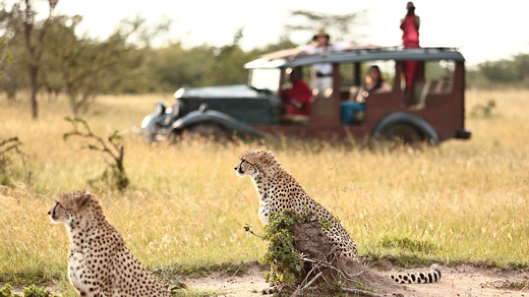 Authentic Sustainable Safari Experience
