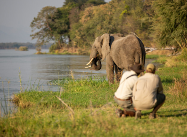 time at Sapi Springs is spent walking and exploring on foot, intermixed with wildlife drives in open vehicles that will take you to explore further into remote interior of the Sapi Reserve, in Greater Mana Pools in Zimbabwe
