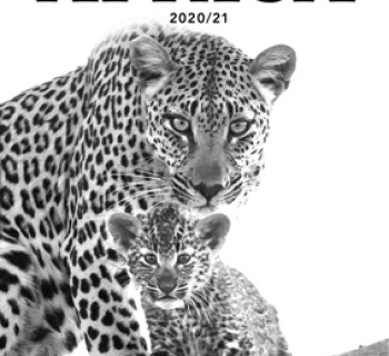 safari tours catalogue for Africa travel from Australia