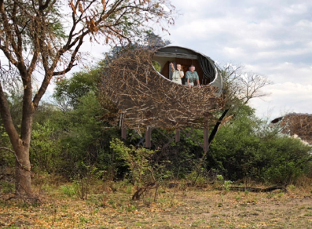 Chisa Busanga Camp (“The Nest”) lies on a beautiful island in the heart of the Busanga Plains, Kafue National Park, Zambia; overlooking vast flood plains and dambos that teem with wildlife.