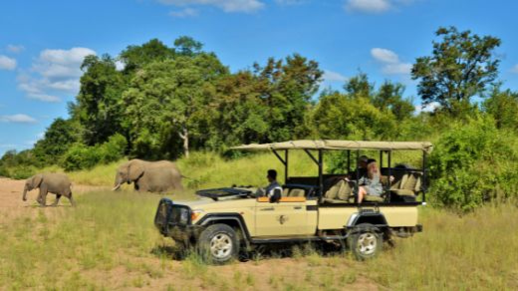 Fully Escorted Safari Africa