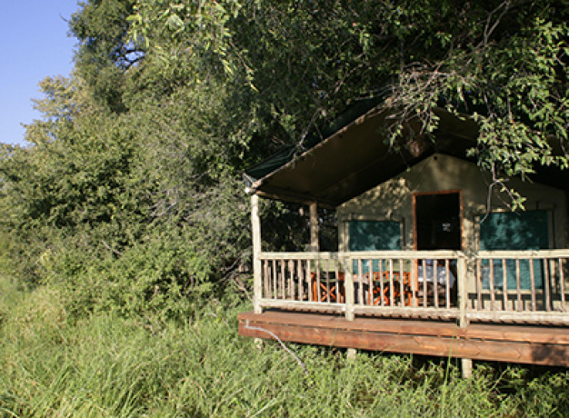 Moremi Crossing