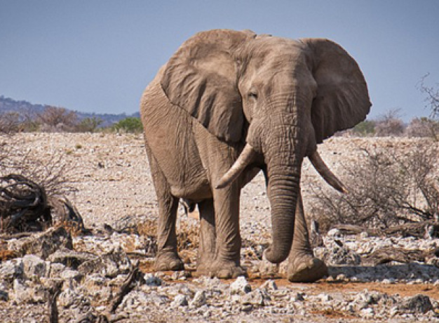 Overland Safari Southern Africa