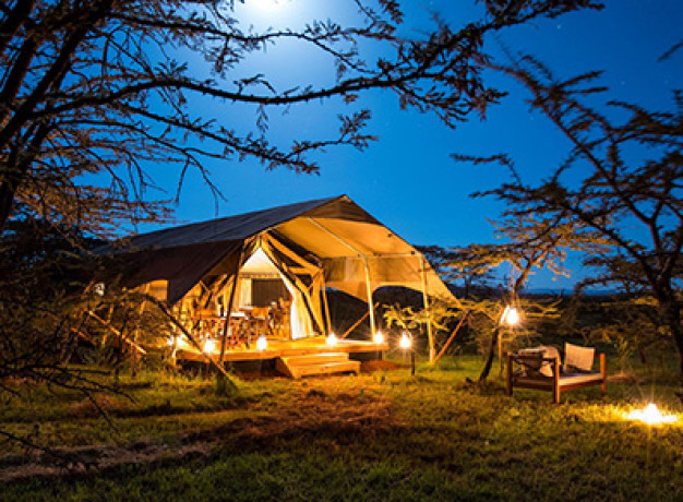 Great Migration Safari Camp