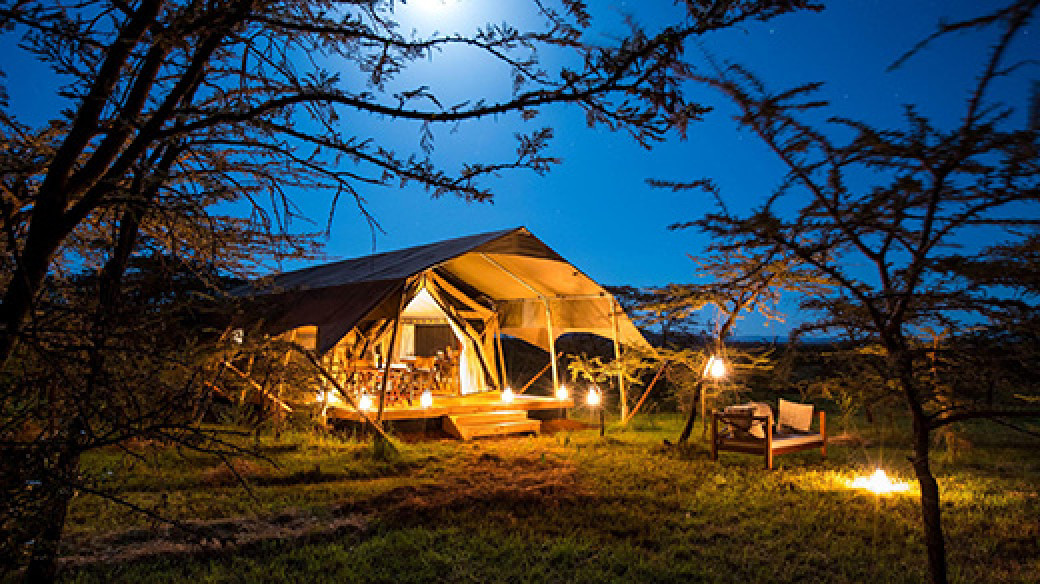 Great Migration Safari Camp