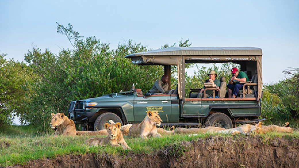 Lions and safari vehicle in the Masai Mara