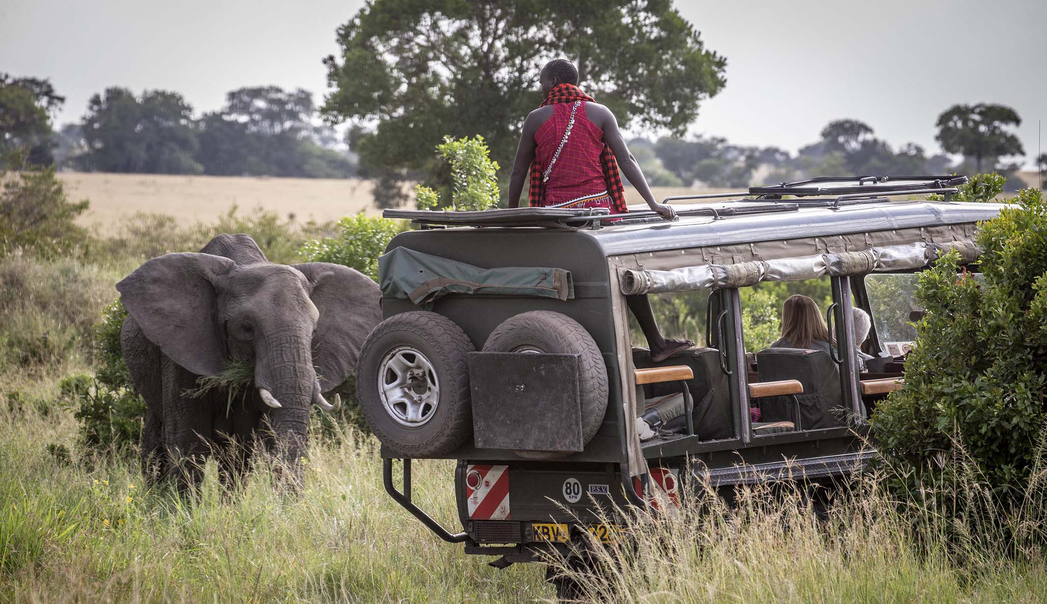the safari collection kenya