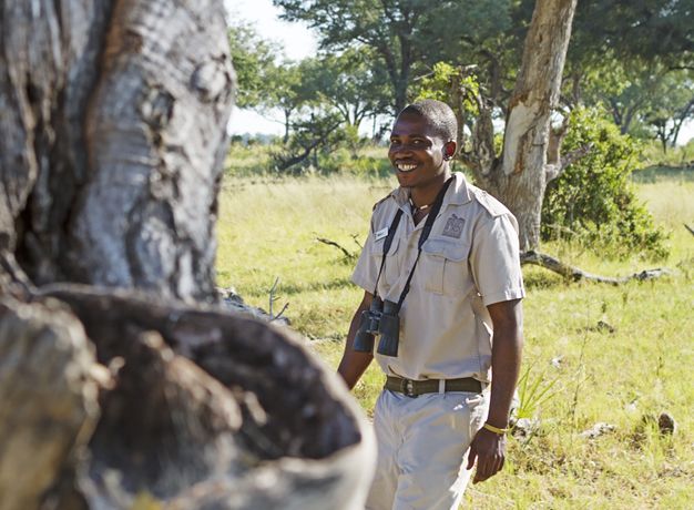 Safari Guide in Botswana