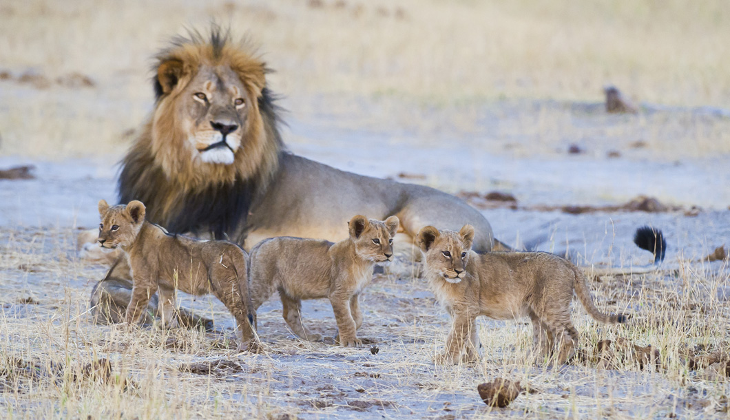 Hwange National Park