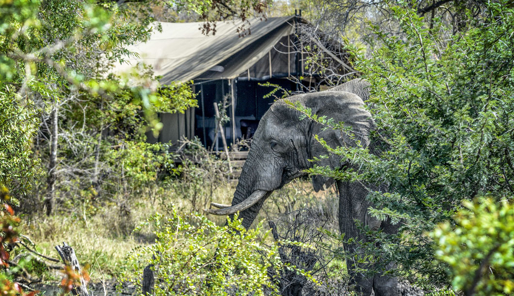 Honeyguide Khoka Moya Camp