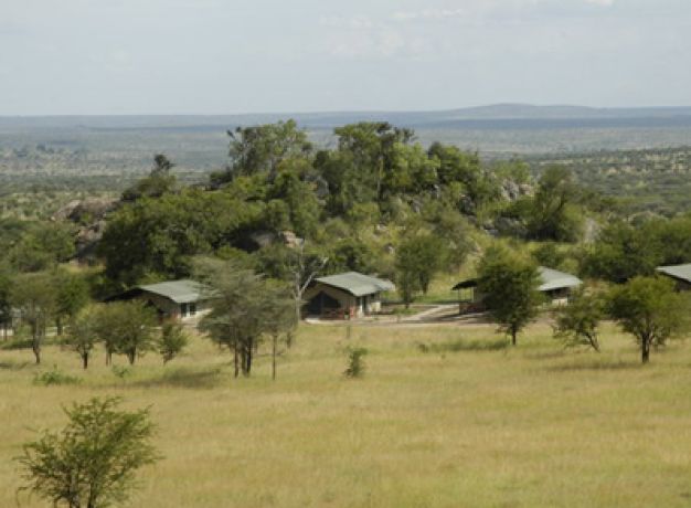 Mbuzi Mawe Serena Camp, Tanzania