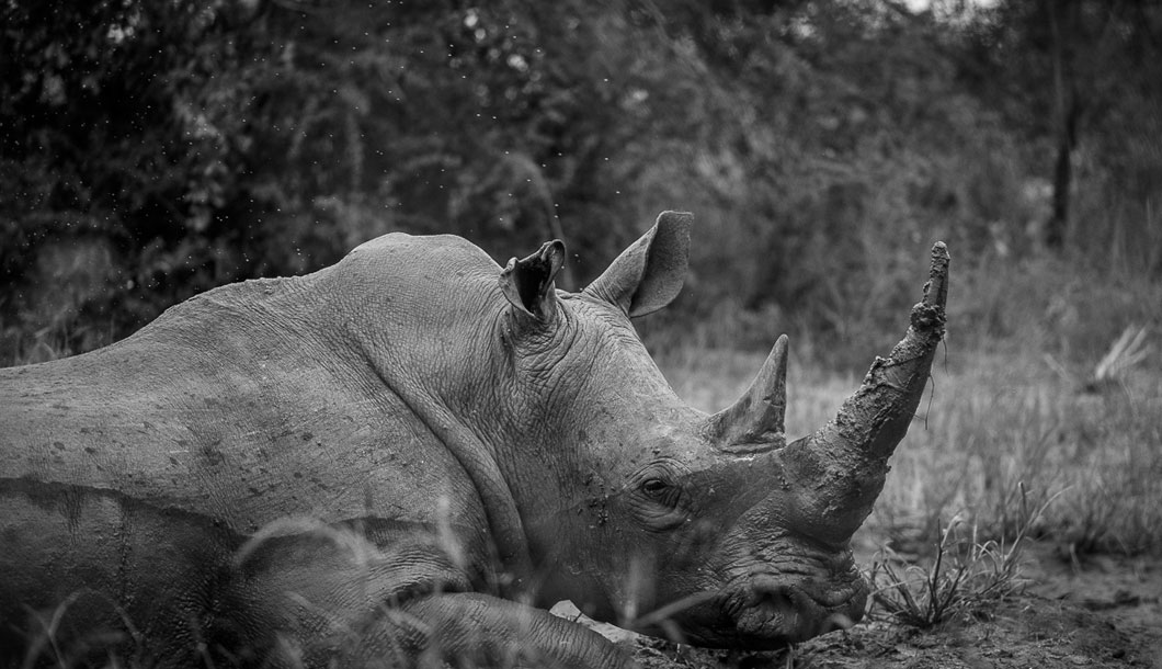 Your camera will be one of the most important things you take on your trip to South Africa