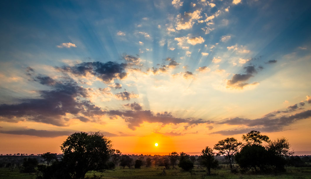 Explore the ever-changing landscapes of Africa