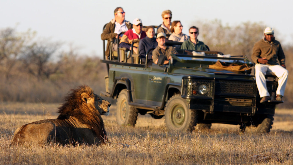 Safari School: Learn about Travelling in South Africa