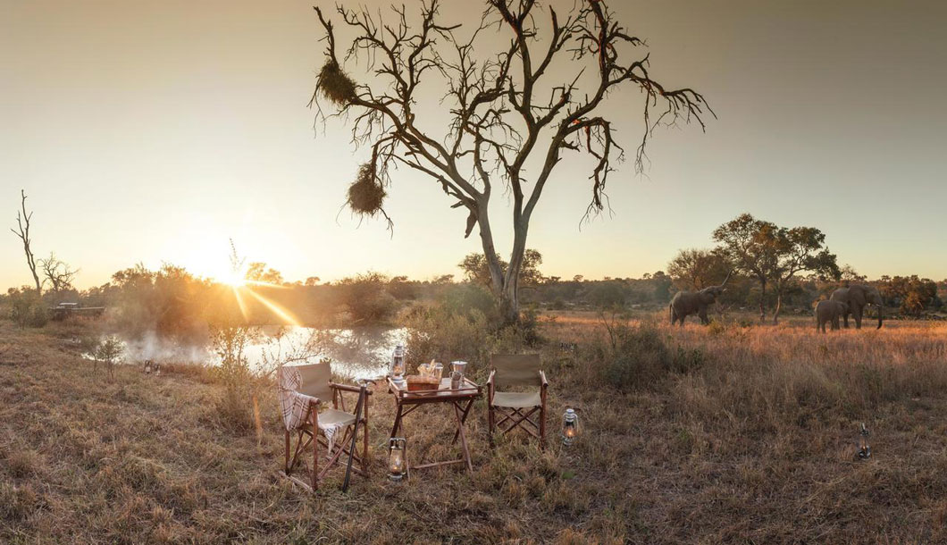 Watching the sun rise in the Timbavati Private Game Reserve, South Africa