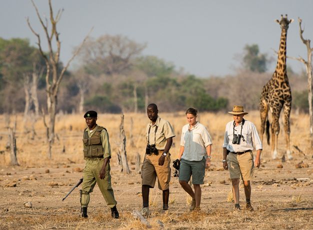 Walking Safaris in Africa