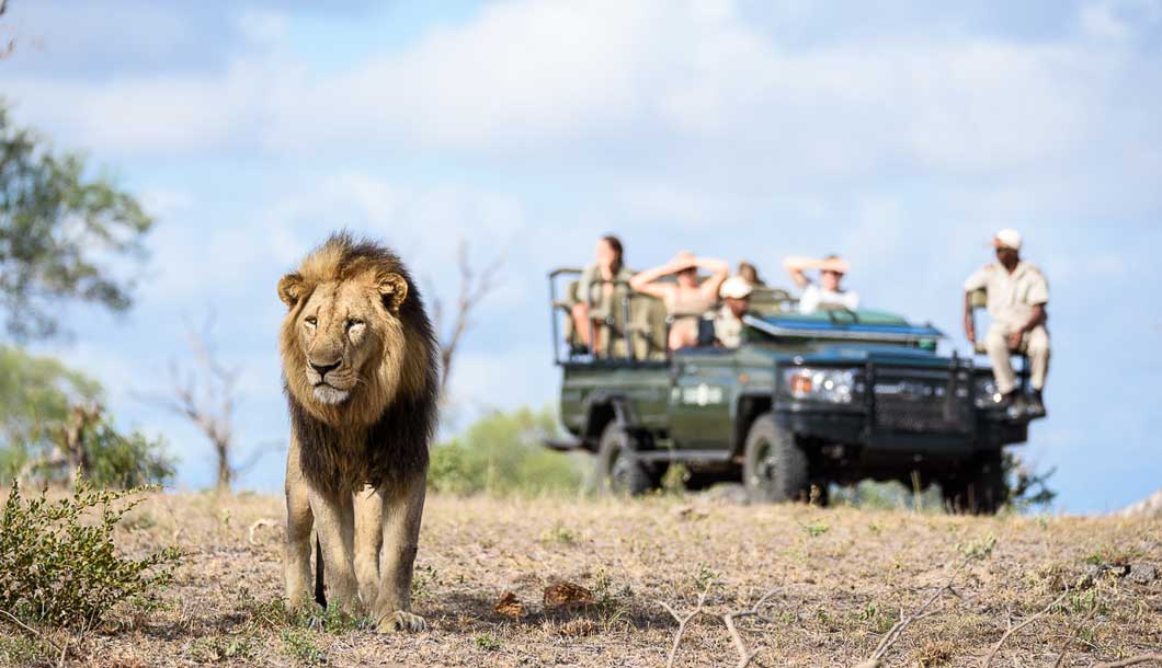 Safari with the Experts in Australia!
