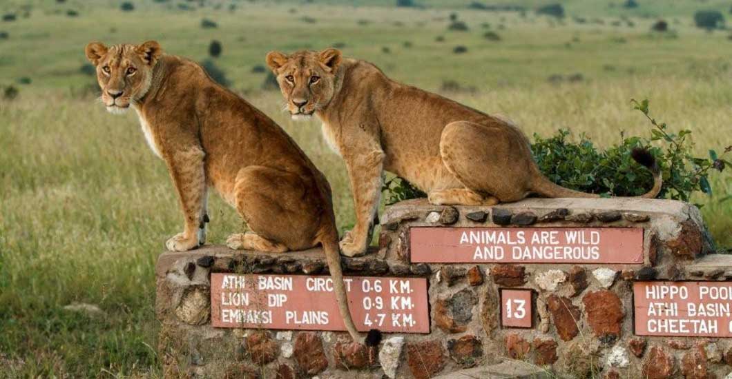 Is it just me or are these guys posing?