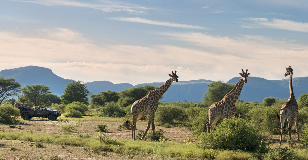 Game Driving at Marataba Trails