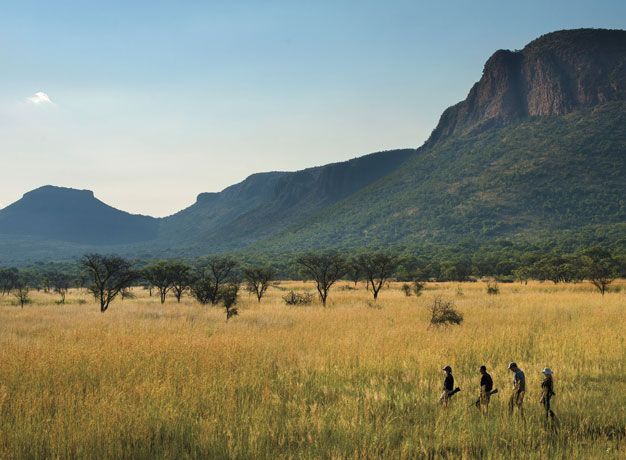 Game Walk South Africa